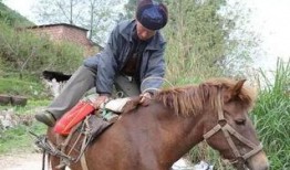网红骑马爆料视频大全最新,揭秘马背上的精彩瞬间